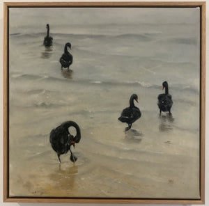 Black Swans - Oil on Canvas - Rod Bax
