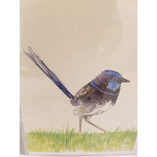 Greeting Card - Single Superb Fairy Wren.