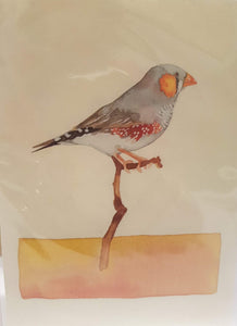 Greeting Card - Zebra Finch-Homewares-Atelier Crafers 