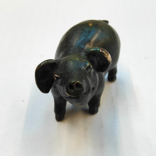 Curious Pig - bronze miniature by Silvio Apponyi