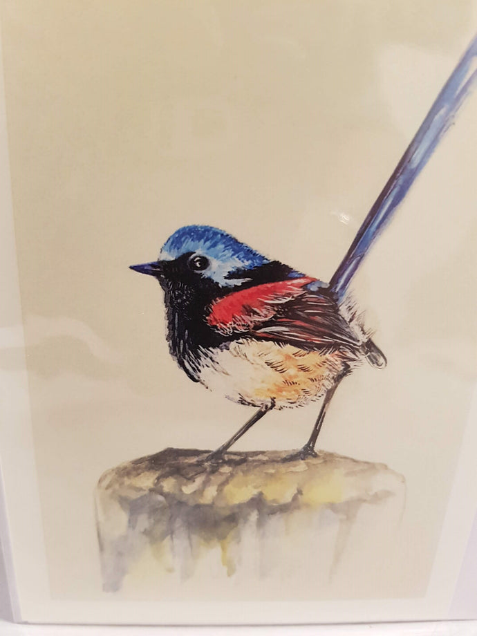 Greeting Card - Red Winged Fairy Wren-Homewares-Atelier Crafers 