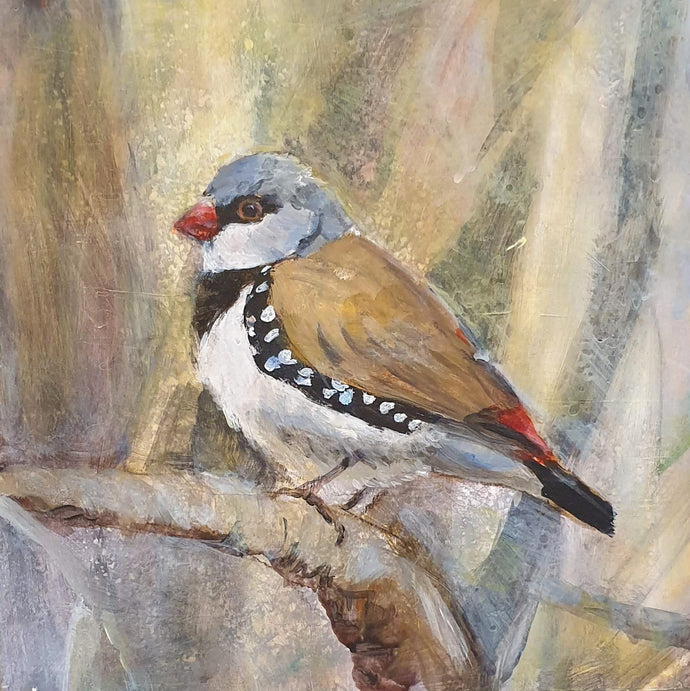 Diamond Finch - acrylic on wood by Cristina Metelli