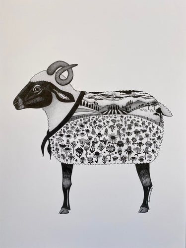 A4 print - Sheep