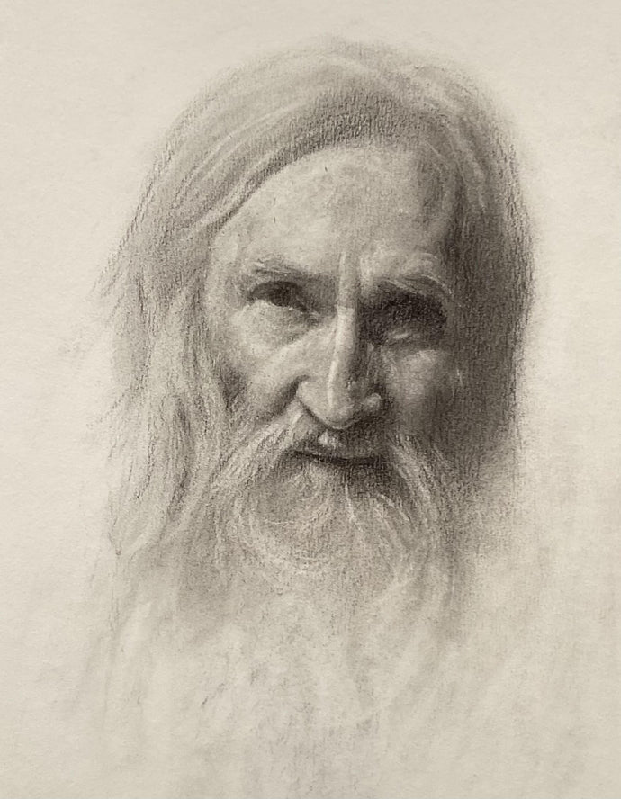 The gentle one  - charcoal pencil on paper - Trevor Newman