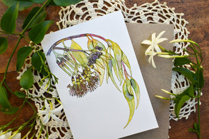 Greeting Card - Australian Mistletoe - Zinia King