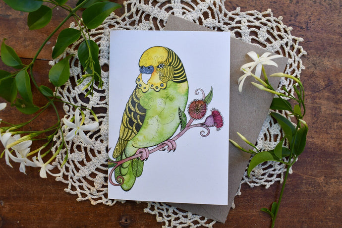 Greeting Card - Budgerigar - Zinia King