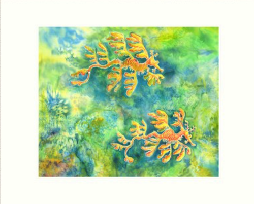 Greeting Card - Leafy Sea Dragons - Julia Wakefield