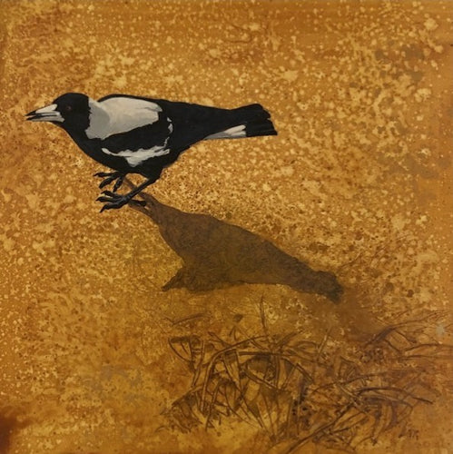 Magpie Study 2 - Oil on Clay Board - Rod Bax
