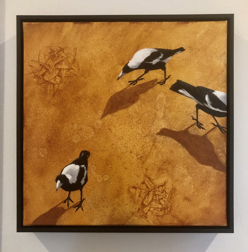 Magpie Trio - Oil on Canvas - Rod Bax