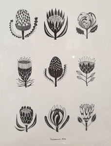A4 print - Proteas
