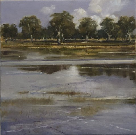 SE Wetlands - Oil on Canvas - Rod Bax