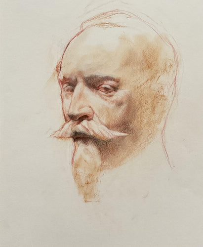 Study from a statue - charcoal & red chalk on paper - Trevor Newman