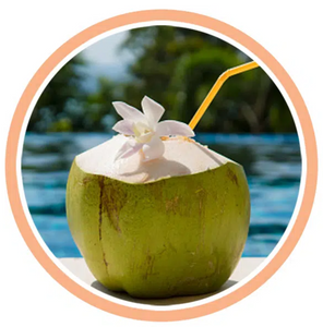 Handmade Soap - Tropical Coconut